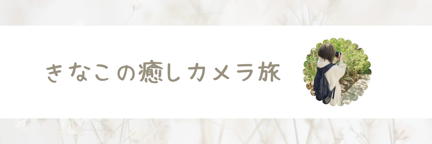 きなこの癒しカメラ旅